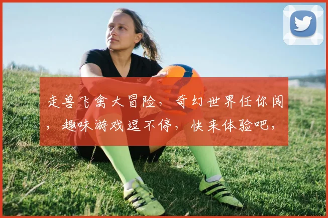 走兽飞禽大冒险，奇幻世界任你闯，趣味游戏逗不停，快来体验吧，