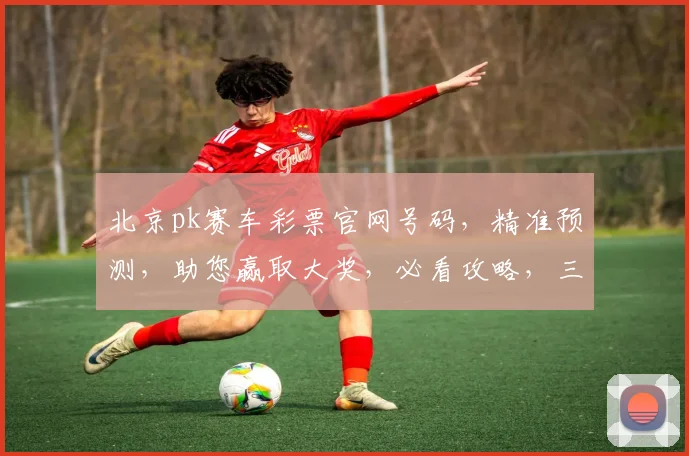北京pk赛车彩票官网号码，精准预测，助您赢取大奖，必看攻略，三招必中