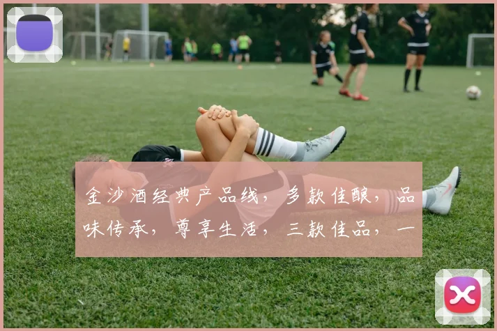金沙酒经典产品线，多款佳酿，品味传承，尊享生活，三款佳品，一网打尽，尽在金沙酒。